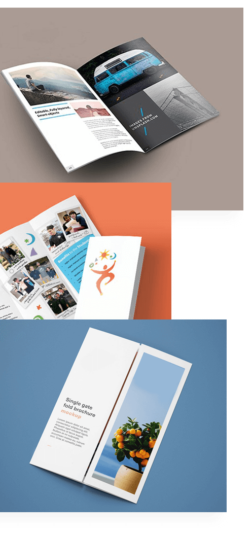 Types of Brochure